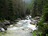 foto-miro-353.JPG